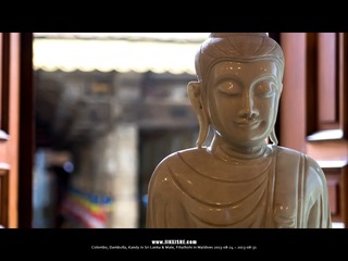 SL_MD_0827_0541_1280