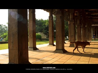 SL_MD_0827_0581_1280