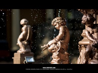 SL_MD_0827_0621_1280