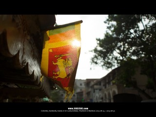 SL_MD_0827_0628_1280