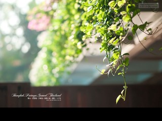 曼谷·芭提雅·沙美岛，泰国之旅
