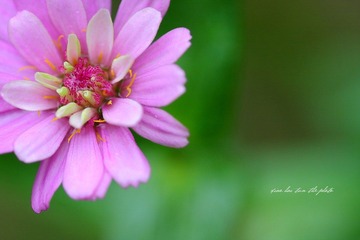 IMG_1926.JPG