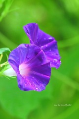 IMG_1951.JPG
