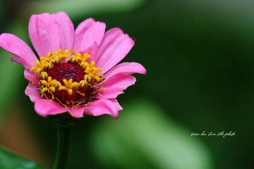 IMG_1966.JPG