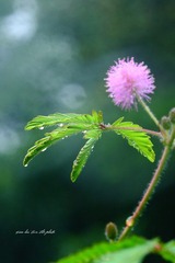 IMG_2061.JPG