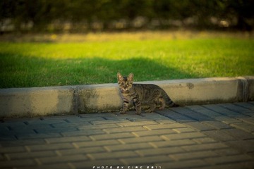 IMG_4257-15.jpg
