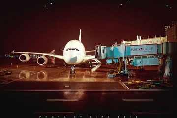 P1010192-6.jpg