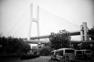 DSC01940-5.jpg