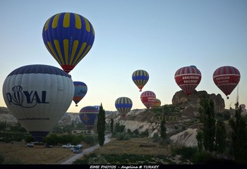 P1010509a