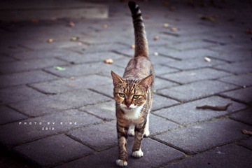 lonely2