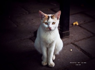 lonely3