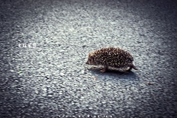 RUN!!!