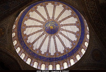P1010972a