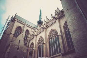 DSC02491-45.jpg