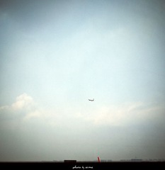 P1030779s
