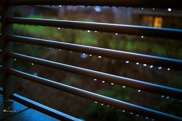 DSC04181a