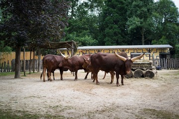 DSC06155-7