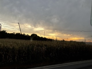 0890C997-2D96-4F4B-AC31-31F9CFBC2722/L0/001