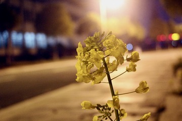 7DD270FE-560B-4CCA-BD1E-502624AE70D7/L0/001