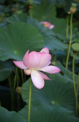 3F1BD50A-0942-48A7-BA18-1DD82C70EE21/L0/001