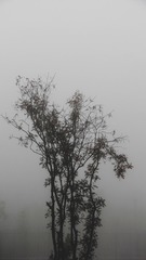 02E77A48-3DB9-4B1F-8EC5-7B4CB8DE0E67/L0/001