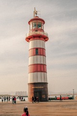 4067842