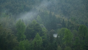 F22D8909-B8AF-4F0C-8FF8-D37A85108DAA/L0/001