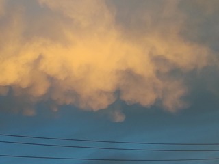 7AA3CDDE-E782-4067-A415-A1B943F8FA35/L0/001