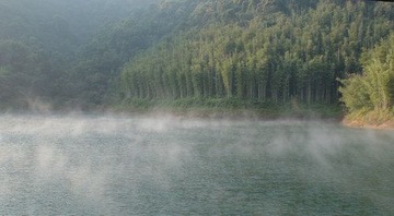 万绿湖1.jpg