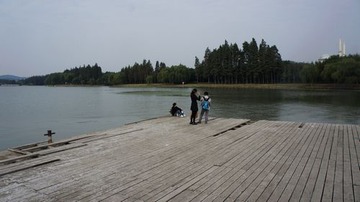 DSC08541.JPG