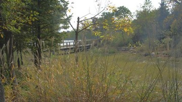 DSC08549.JPG