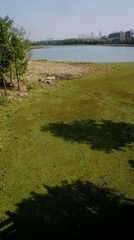 DSC08574.JPG