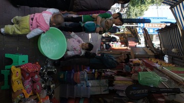 DSC00485.JPG