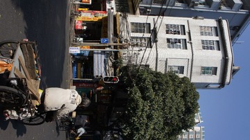 DSC00487.JPG