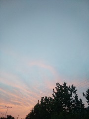 1049