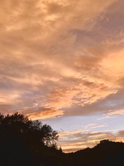 624F5591-04F0-4FCC-BE5C-F97E32F5D16B/L0/001