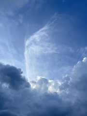 4E7B5AE8-2565-47A1-8238-7A6B65602E51/L0/001