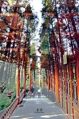 未标题1.jpg
