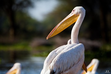 IMG_4397 副本.jpg