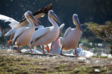 IMG_4404 副本.jpg
