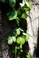 IMG_9023 副本.jpg
