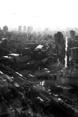 IMG_9876.jpg