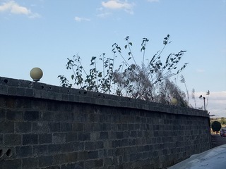 458235