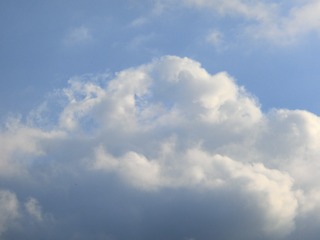 883728