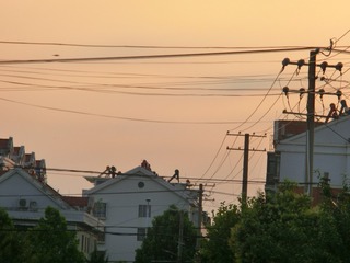 882105