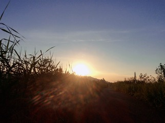 D74B1913-F75F-4B9B-80BD-4B545E4D0939/L0/001