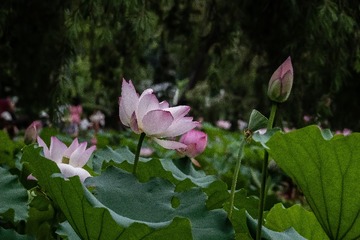 5125