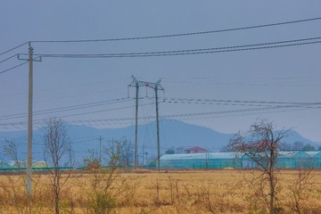 304042