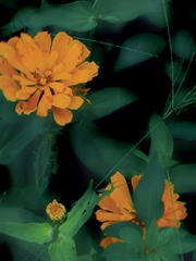 8F582739-67BB-4D43-A2AC-F21520F72524/L0/001