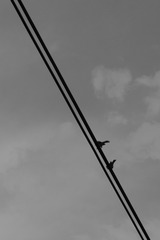 A73033E7-C546-48B7-9CA2-A0FF856D91C7/L0/001